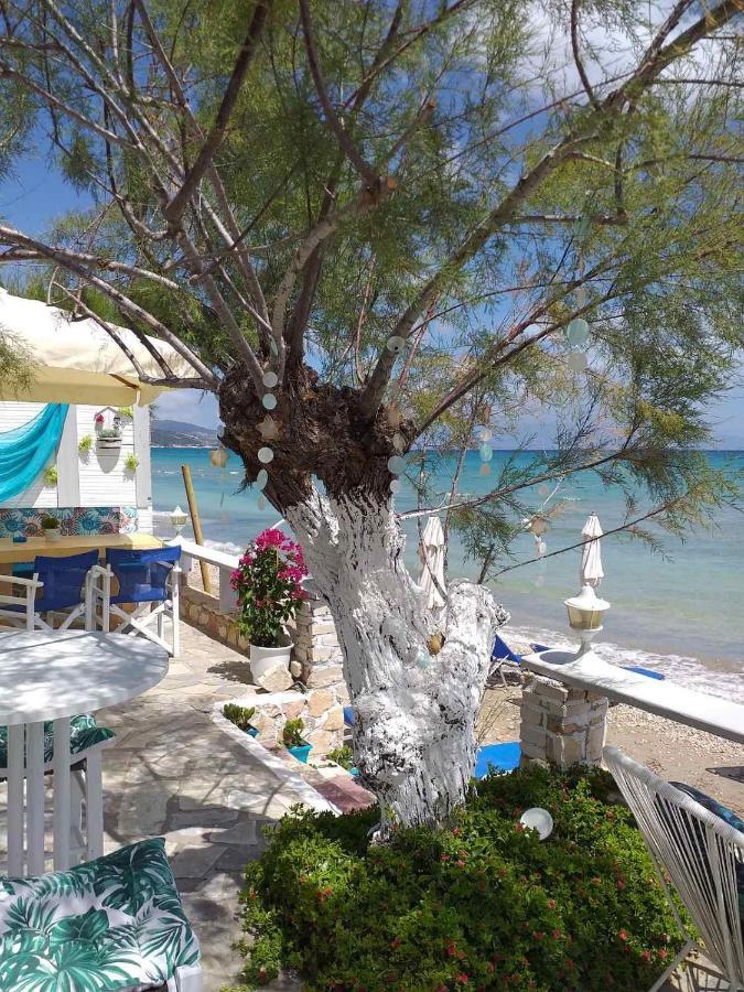 Golden Dolphin Studios & Apartments Alykes (Zakynthos) Exterior foto
