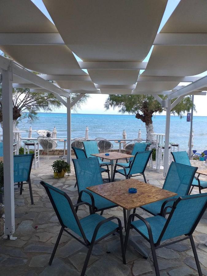 Golden Dolphin Studios & Apartments Alykes (Zakynthos) Exterior foto
