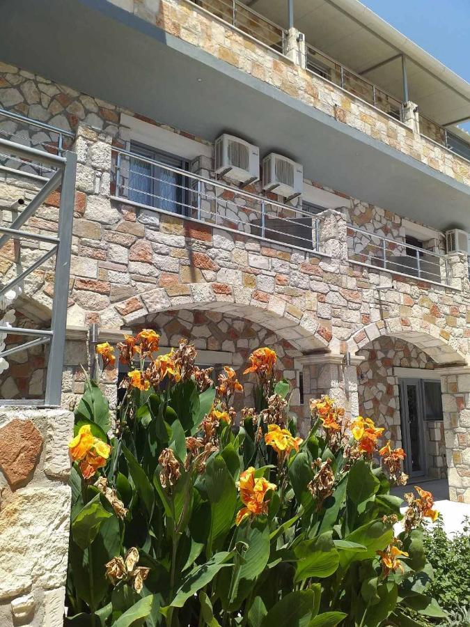 Golden Dolphin Studios & Apartments Alykes (Zakynthos) Exterior foto