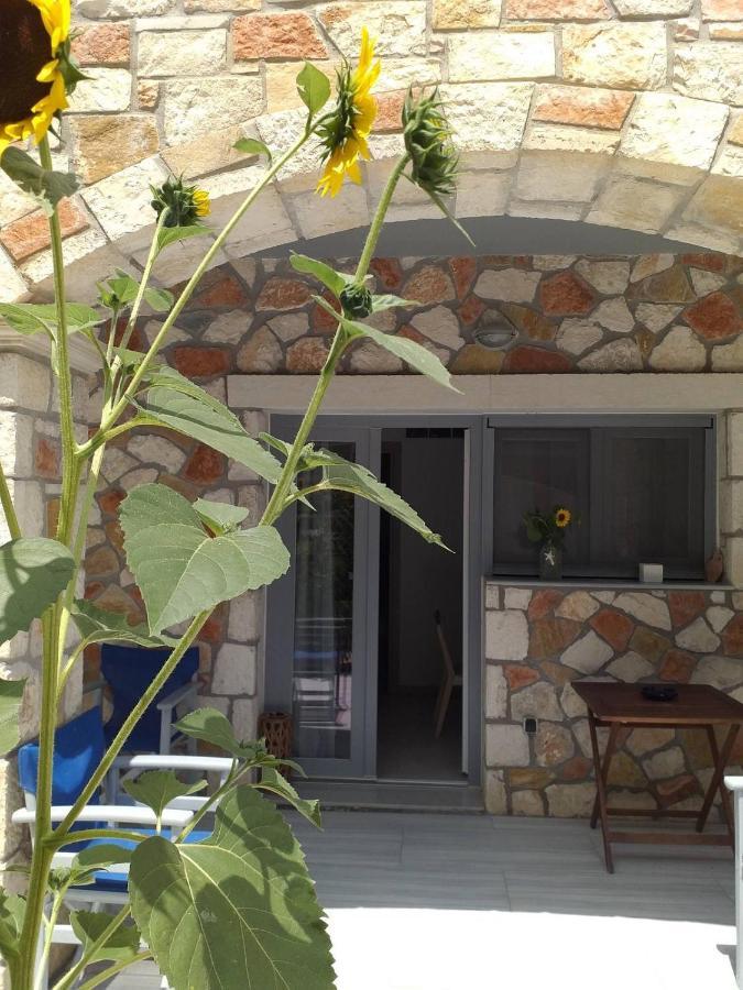 Golden Dolphin Studios & Apartments Alykes (Zakynthos) Exterior foto