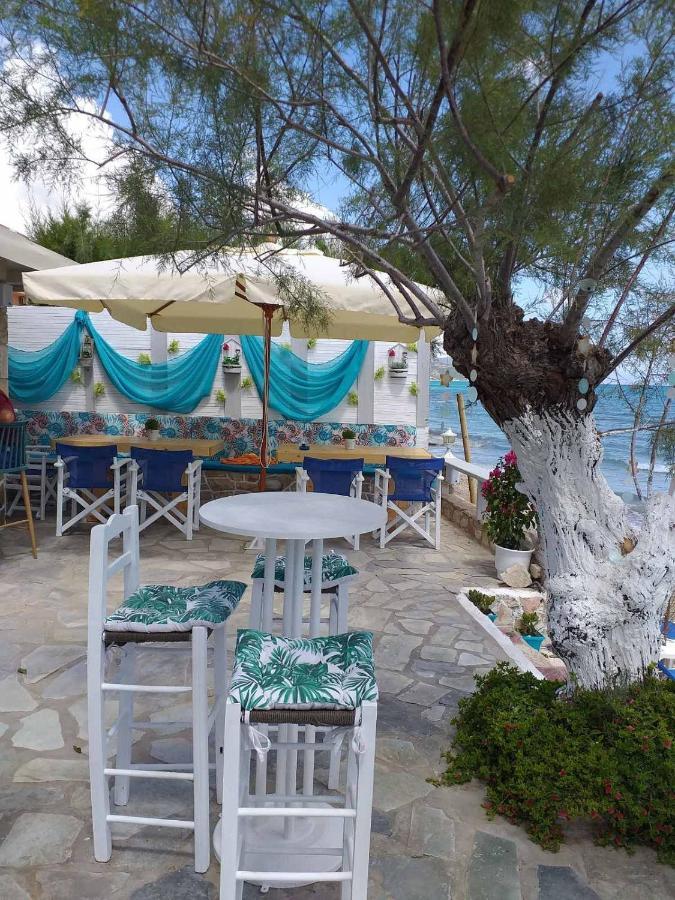 Golden Dolphin Studios & Apartments Alykes (Zakynthos) Exterior foto